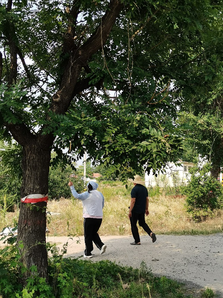 棗莊市市中區(qū)西王莊村項(xiàng)目正在進(jìn)行現(xiàn)場調(diào)研